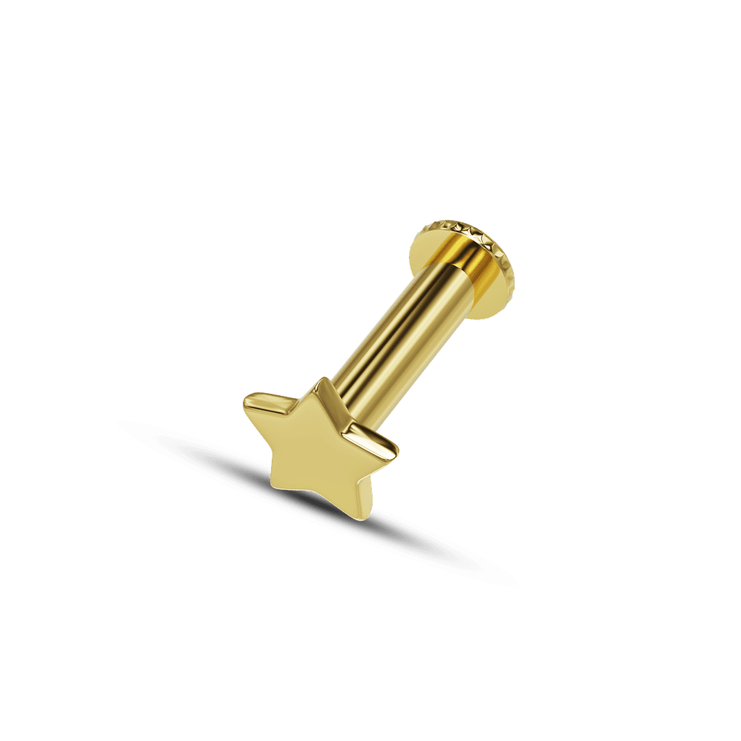 22K Star Gold Nose Stud